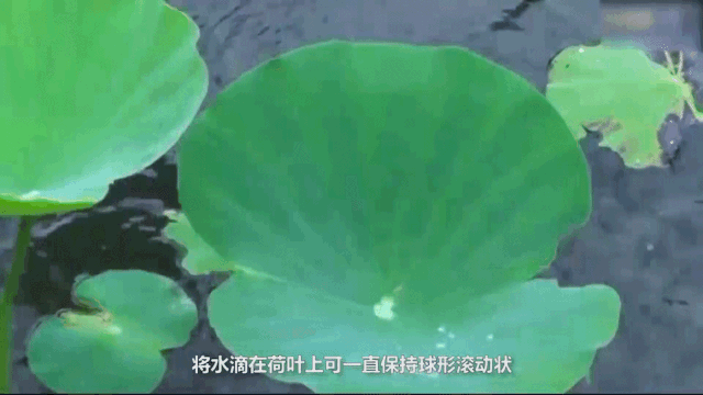 無(wú)錫不銹鋼板價(jià)格,201不銹鋼,無(wú)錫不銹鋼,304不銹鋼板,321不銹鋼板,316L不銹鋼板,無(wú)錫不銹鋼板 無(wú)錫不銹鋼板價(jià)格,201不銹鋼,無(wú)錫不銹鋼,304不銹鋼板,321不銹鋼板,316L不銹鋼板,無(wú)錫不銹鋼板